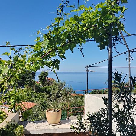 Mala Cele Apartment Podgora Cameră foto