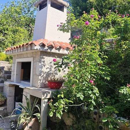 Mala Cele Apartment Podgora Cameră foto
